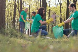 Volunteers for non-profit